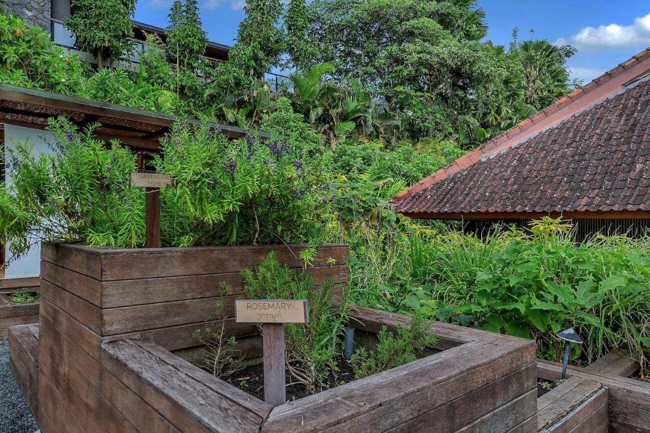 Bisma Eight Villas Ubud  Bagian luar foto